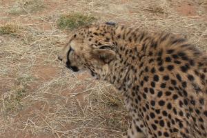 Namibia 2017 Fun Pics