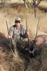 Gemsbok 