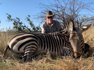 Eric's Mountain Zebra