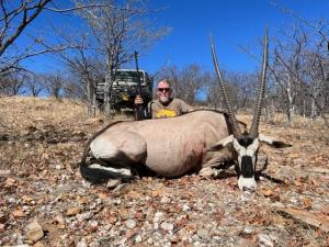 Old female gemsbok