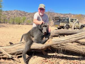 Big Chacma Baboon