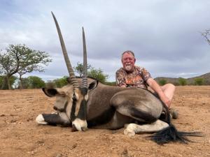 Young gemsbok bull