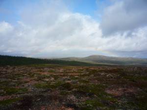 Back country scenery    