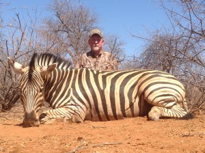 Burchell's Zebra, August 16, 2015     