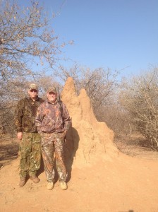 Termite mound