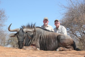 Blue Wildebeest, August 13, 2015     