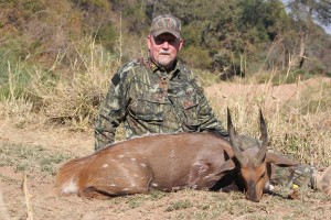 Bushbuck, August 14, 2015     