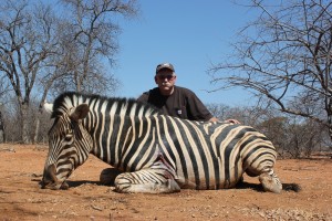 Burchell's Zebra, August 19, 2015     