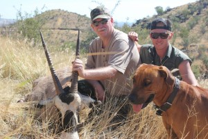 Non trophy Gemsbok   