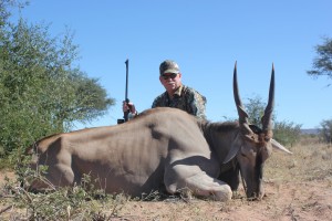 Eland Bull   