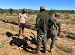 Eric's kudu at Khomas