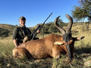 Russell's Red Hartebeest