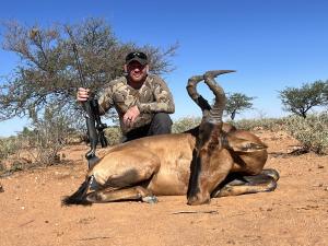 Troy's Red Hartebeest