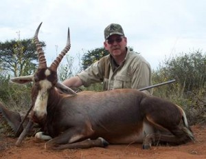 Blesbok 