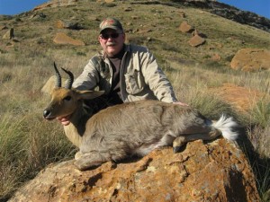 Mountain Reedbuck 